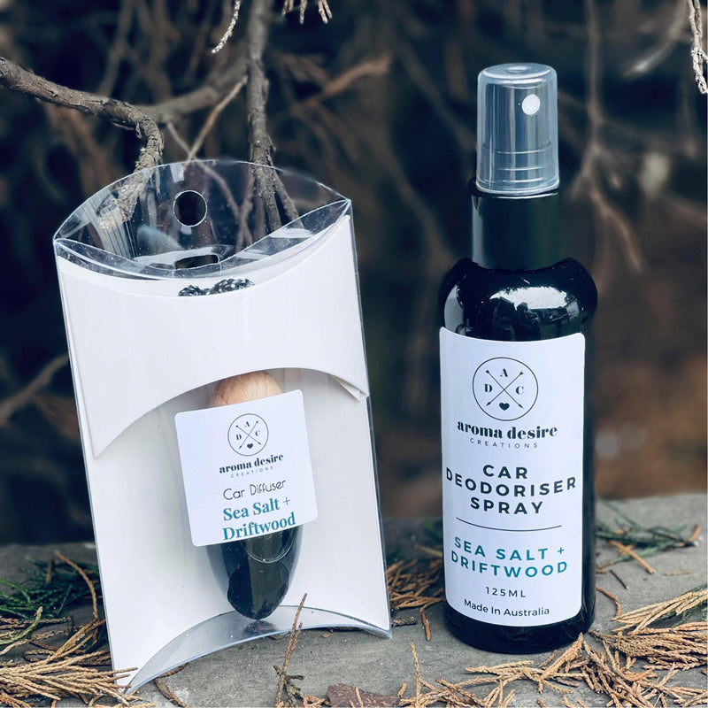 Car Care Gift Set